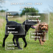 12 Strain Probiotic & Prebiotic