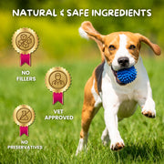 12 Strain Probiotic & Prebiotic