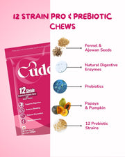 12 Strain Probiotic & Prebiotic