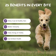 25-in-1-Multivitamin