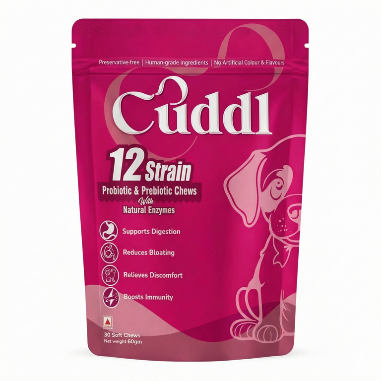 12 Strain Probiotic & Prebiotic