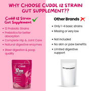 12 Strain Probiotic & Prebiotic