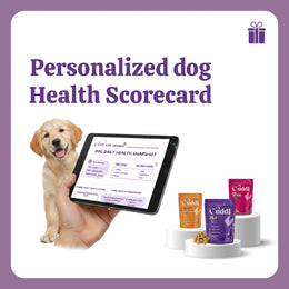 Personlised Dog Health Scorecard