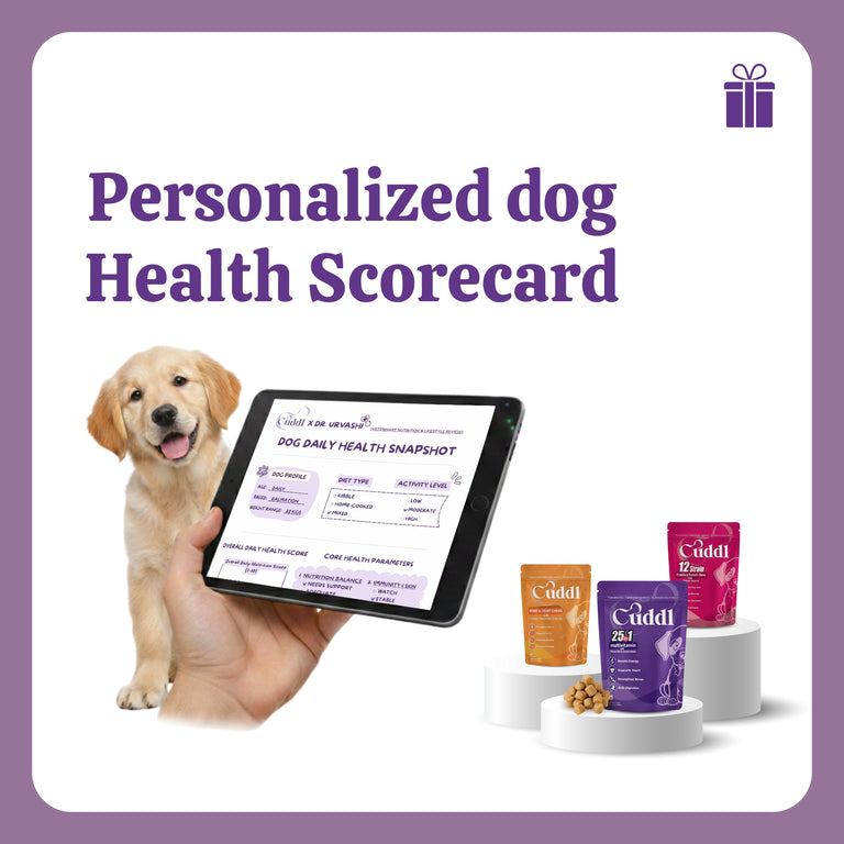 Personlised Dog Health Scorecard